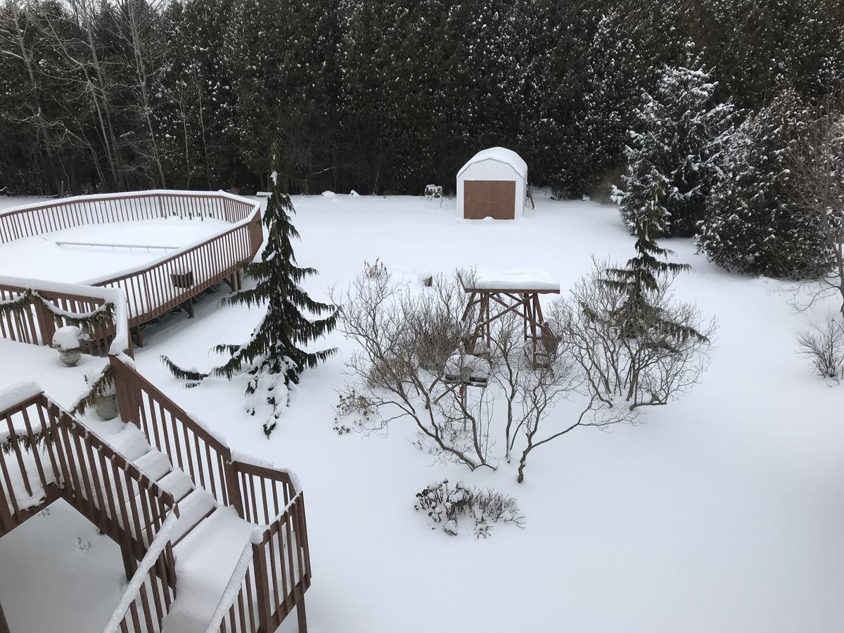 Molly'S Retreat B And B Orangeville Ngoại thất bức ảnh
