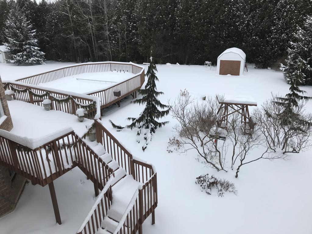 Molly'S Retreat B And B Orangeville Ngoại thất bức ảnh